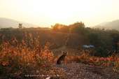 อุทยานแห่งชาติพุเตย-หน่วยพิทักษ์อุทยานแห่งชาติที่-3-ตะเพินคี่-จ.สุพรรณบุรี