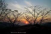 อุทยานแห่งชาติพุเตย-หน่วยพิทักษ์อุทยานแห่งชาติที่-3-ตะเพินคี่-จ.สุพรรณบุรี