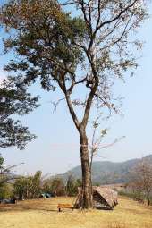 อุทยานแห่งชาติพุเตย-หน่วยพิทักษ์อุทยานแห่งชาติที่-3-ตะเพินคี่-จ.สุพรรณบุรี