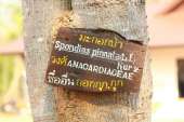 อุทยานแห่งชาติพุเตย-หน่วยพิทักษ์อุทยานแห่งชาติที่-3-ตะเพินคี่-จ.สุพรรณบุรี