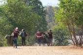 อุทยานแห่งชาติพุเตย-หน่วยพิทักษ์อุทยานแห่งชาติที่-3-ตะเพินคี่-จ.สุพรรณบุรี