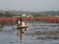 ล่องเรือชม-ทะเลบัวแดง-อุทยานนกน้ำทะเลน้อย-จ.พัทลุง