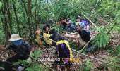 ทริป-ลานหินดาด-เขาสมอปูน-ประสบการณ์ใหม่กับยุงนับร้อย