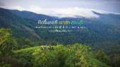 เขาช่อ-ไปปีนยอดเขาช่อ-เดินป่าใกล้ๆแค่เนี้ยความสวยไม่แพ้ยอดดอย-ที่สระบุรี