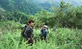 เขาช่อ-ไปปีนยอดเขาช่อ-เดินป่าใกล้ๆแค่เนี้ยความสวยไม่แพ้ยอดดอย-ที่สระบุรี