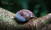 เขาช่อ-ไปปีนยอดเขาช่อ-เดินป่าใกล้ๆแค่เนี้ยความสวยไม่แพ้ยอดดอย-ที่สระบุรี