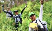 เขาช่อ-ไปปีนยอดเขาช่อ-เดินป่าใกล้ๆแค่เนี้ยความสวยไม่แพ้ยอดดอย-ที่สระบุรี