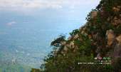 เขาช่อ-ไปปีนยอดเขาช่อ-เดินป่าใกล้ๆแค่เนี้ยความสวยไม่แพ้ยอดดอย-ที่สระบุรี