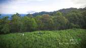 เขาช่อ-ไปปีนยอดเขาช่อ-เดินป่าใกล้ๆแค่เนี้ยความสวยไม่แพ้ยอดดอย-ที่สระบุรี