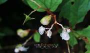 สันโกรก-น้ำตกโกรกอีดก-ทริปโหดๆ-สุดยอดตลอดทาง-จ.สระบุรี