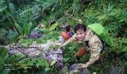 สันโกรก-น้ำตกโกรกอีดก-ทริปโหดๆ-สุดยอดตลอดทาง-จ.สระบุรี