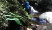 สันโกรก-น้ำตกโกรกอีดก-ทริปโหดๆ-สุดยอดตลอดทาง-จ.สระบุรี