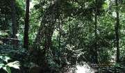 สันโกรก-น้ำตกโกรกอีดก-ทริปโหดๆ-สุดยอดตลอดทาง-จ.สระบุรี