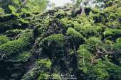ทริปเน้นเดินที่-"น้ำตกเขาแคบ"-จังหวัดสระบุรี-ปี-2559