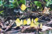 ทริปเน้นเดินที่-"น้ำตกเขาแคบ"-จังหวัดสระบุรี-ปี-2559