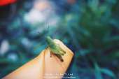 ทริปเน้นเดินที่-"น้ำตกเขาแคบ"-จังหวัดสระบุรี-ปี-2559