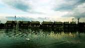 ให้อาหารแกะ-ร้านอาหารถ่ายรูป-ที่คลอง-6-ธัญบุรี-คันทรีเพลส