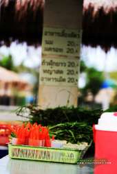 ให้อาหารแกะ-ร้านอาหารถ่ายรูป-ที่คลอง-6-ธัญบุรี-คันทรีเพลส
