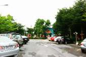 ให้อาหารแกะ-ร้านอาหารถ่ายรูป-ที่คลอง-6-ธัญบุรี-คันทรีเพลส