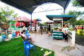 ให้อาหารแกะ-ร้านอาหารถ่ายรูป-ที่คลอง-6-ธัญบุรี-คันทรีเพลส