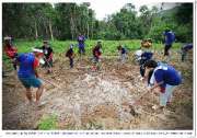 ปลูกพืชให้ช้าง-สร้างอาหารให้สัตว์ป่าเฉลิมพระเกียรติ-กระทิงแดง-hand-up-แก่งกระจาน