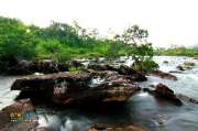 เที่ยวน้ำตกตาดหินยาว-ปราจีนบุรี-หลีผีเมืองไทย