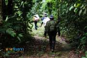 เที่ยวน้ำตกตาดหินยาว-ปราจีนบุรี-หลีผีเมืองไทย