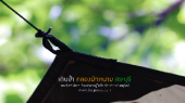 ทริปเดินป่า-น้ำตกคลองผักหนาม-เดินง่ายๆ-นอนชิลๆที่ริมลำธาร-ที่สระบุรี-2016