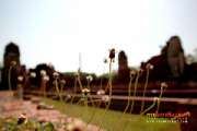 เที่ยวเมืองอยุธยา-ไหว้พระ-9-วัด