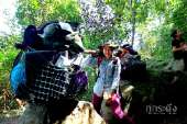 ทริปเล็กๆที่ครบทุกที่กับ-ภูกระดึง