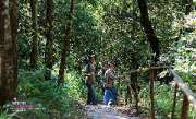 น้ำตกผาดอกเสี้ยว-เที่ยวเที่ยวง่ายๆกับน้ำตกสวยๆ-ดอยอินทนนท์-ตามรอยหนังไทย-รักจัง!-จ.เชียงใหม่