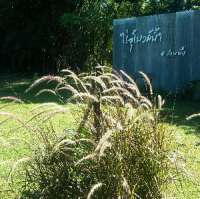 ไร่อุโมงค์น้ำ-ที่พักติดลำธาร-พาครอบครัวเที่ยวเพื่อนฝูงพักสบายๆหรือจะไป-แหกปากกับเพื่อนๆ-อ.สวนผึ้ง-จ.ราชบุรี