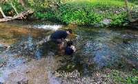 ไร่อุโมงค์น้ำ-ที่พักติดลำธาร-พาครอบครัวเที่ยวเพื่อนฝูงพักสบายๆหรือจะไป-แหกปากกับเพื่อนๆ-อ.สวนผึ้ง-จ.ราชบุรี