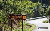 พระตำหนักดอยผาตั้ง-ไปดูแกะบนดอย-รายล้อมด้วยซากุระเมืองไทยที่พระตำหนักดอยผาตั้ง-วิวดีๆมีอีกเยอะ-จ.เชื่องใหม่