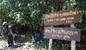 เดินป่า-คลองอีเฒ่า-ณ.เขาใหญ่-เดินง่ายๆ-3.9-กม-ถึงที่หมาย