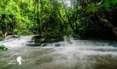 เดินป่าที่สระบุรี-นอนริมลำธาร-ที่คลองผักหนาม-2017-ทริปง่ายๆแค่อยากนอนฟังเสียงฝน