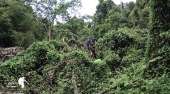 เดินป่าที่สระบุรี-นอนริมลำธาร-ที่คลองผักหนาม-2017-ทริปง่ายๆแค่อยากนอนฟังเสียงฝน
