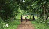 เดินป่าที่สระบุรี-นอนริมลำธาร-ที่คลองผักหนาม-2017-ทริปง่ายๆแค่อยากนอนฟังเสียงฝน