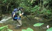เดินป่าที่สระบุรี-นอนริมลำธาร-ที่คลองผักหนาม-2017-ทริปง่ายๆแค่อยากนอนฟังเสียงฝน