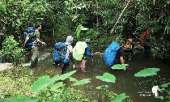 เดินป่าที่สระบุรี-นอนริมลำธาร-ที่คลองผักหนาม-2017-ทริปง่ายๆแค่อยากนอนฟังเสียงฝน