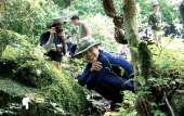 เดินป่าที่สระบุรี-นอนริมลำธาร-ที่คลองผักหนาม-2017-ทริปง่ายๆแค่อยากนอนฟังเสียงฝน