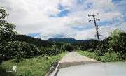 เดินป่า-ช่อใหญ่..-ณ.เขาช่อ-สระบุรี-ใกล้ๆนี่เอง-กับวิวทิวเขาสวยๆ