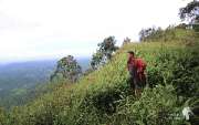 เดินป่า-ช่อใหญ่..-ณ.เขาช่อ-สระบุรี-ใกล้ๆนี่เอง-กับวิวทิวเขาสวยๆ