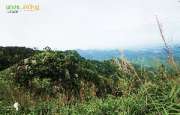 เดินป่า-ช่อใหญ่..-ณ.เขาช่อ-สระบุรี-ใกล้ๆนี่เอง-กับวิวทิวเขาสวยๆ