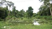 อุทยานแห่งชาติรามคำแหง-อช.รามคำแหง-เขาหลวงสุโขทัย