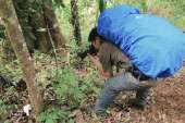 อุทยานแห่งชาติรามคำแหง-อช.รามคำแหง-เขาหลวงสุโขทัย