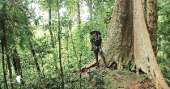 อุทยานแห่งชาติรามคำแหง-อช.รามคำแหง-เขาหลวงสุโขทัย