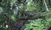 อุทยานแห่งชาติรามคำแหง-อช.รามคำแหง-เขาหลวงสุโขทัย