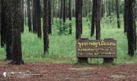 ทุ่งแสลงหลวง-ทุ่งหญ้าในทะเลหมอก-ทริปกระต่ายแดงแสลงหลวง-เขาค้อ-จ.เพชรบูรณ์