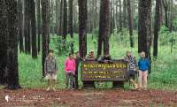 ทุ่งแสลงหลวง-ทุ่งหญ้าในทะเลหมอก-ทริปกระต่ายแดงแสลงหลวง-เขาค้อ-จ.เพชรบูรณ์